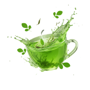 Untitled design (19)